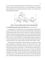 Luận văn : KHẢO SÁT SINH TRƯỞNG MỘT CHỦNG NẤM VÂN CHI ĐEN TRAMETES VERSICOLOR L.:Fr Pilát CÓ NGUỒN GỐC TỪ TRUNG QUỐC part 5 docx