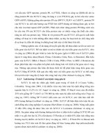 Luận văn : NGHIÊN CỨU SUGARCANE YELLOW LEAF VIRUS GÂY BỆNH VÀNG GÂN LÁ TRÊN MÍA (YLS) BẰNG KÍNH HIỂN VI HUỲNH QUANG VÀ KỸ THUẬT RT-PCR part 2 ppsx