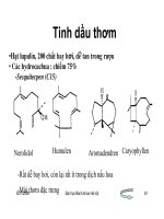 Giáo trình : Công nghệ sản xuất bia và malt part 7 ppt