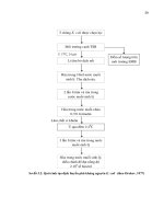 Luận văn : THỬ NGHIỆM ĐIỀU CHẾ AUTO-VACCINE PHÕNG TIÊU CHẢY DO E. coli TRÊN HEO CON SAU CAI SỮA part 6 docx