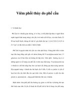 Viêm phổi thùy do phế cầu docx