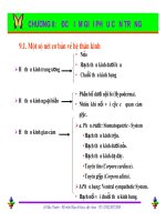 Bài giảng côn trùng : Đặc điểm giải phẫu côn trùng part 4 pps