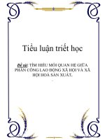 Tiểu luận triết học: TÌM HIỂU MỐI QUAN HỆ GIỮA PHÂN CÔNG LAO ĐỘNG XÃ HỘI VÀ XÃ HỘI HOÁ SẢN XUẤT ppsx