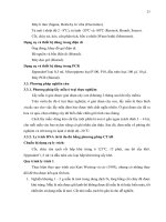 Luận văn : XÁC ĐỊNH GIỚI TÍNH CÂY ĐU ĐỦ (Carica papaya L.) BẰNG KỸ THUẬT PCR VỚI CÁC CẶP PRIMER ĐƯỢC THIẾT KẾ DỰA VÀO VÙNG DNA LIÊN KẾT VỚI GEN QUY ĐỊNH GIỚI TÍNH TRÊN NHIỄM SẮC THỂ GIỚI TÍNH part 3 potx