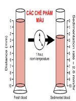 CÁC CHẾ PHẨM MÁU pot