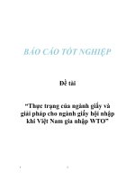 Đề tài “Thực trạng của ngành giấy và giải pháp cho ngành giấy hội nhập khi Việt Nam gia nhập WTO” pptx