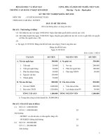 Đề thi tốt nghiệp chuyên ngành kế toán - Đề số 5 pot