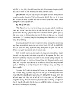 Luận văn tốt nghiệp: Biện pháp quản lý chất lượng sản phẩm cùa các DNCN Việt Nam phần 6 pps