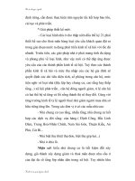 Giáo trình nghiên cứu thực trạng và một số giải pháp phát triển nhả ở đô thị hóa nước ta p3 pdf