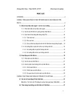 Khóa luận Tổng quan về đầu tư trực tiếp nước ngoài và hoạt động xúc tiến đầu tư