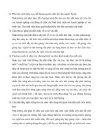 Báo cáo thực tập : Thực trạng và những giải pháp phát triển nguồn nhân lực cho ngành thư ký, tránh tình trạng nhiều mà không chất lượng part 7 pdf