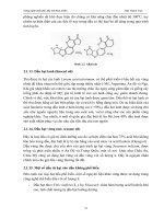 GIÁO TRÌNH : CÔNG NGHỆ CHẾ BIẾN DẦU MỠ THỰC PHẨM part 3 doc