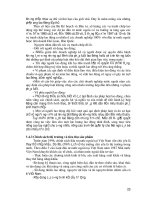 Luận văn tốt nghiệp: Tìm hiểu chỉ số vốn đầu tư nước ngoài (FDI) và vai trò của nó trong phát triển kinh tế phần 3 pot