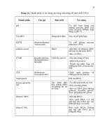 Luận văn : Bước đầu đánh giá mức độ đa dạng di truyền của quần thể điều (Anacardium occidental L.) tại tỉnh Bà Rịa – Vũng Tàu bằng kỹ thuật RAPD và AFLP part 3 pps