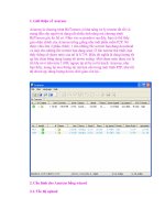 Hướng dẫn sử dụng Azureus để tải file Bittorrent pptx
