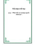 Tiểu luận triết học: Phát triển và sử dụng nguồn nhân lực doc