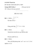 Đề thi học sinh giỏi môn toán lớp 12 trường THPT Hoàng Hóa tỉnh THanh Hóa pps