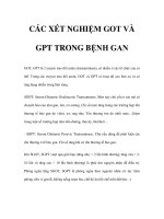 CÁC XÉT NGHIỆM GOT VÀ GPT TRONG BỆNH GAN ppsx