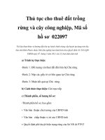 Thủ tục cho thuê đất trồng rừng và cây công nghiệp, Mã số hồ sơ 022097 pot