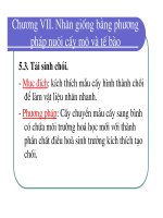 Bài giảng giống cây rừng : Nhân giống bằng phương pháp nuôi cấy mô và tế bào part 2 pot