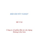 Báo cáo: Công ty cổ phần đầu tư xây dựng Hoàng Liên Sơn pptx