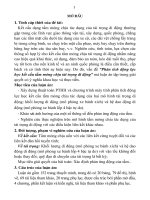 tóm tắt phân tích động lực học kết cấu tấm mỏng chịu tải trọng di động