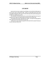 ĐỒ ÁN NGHIÊN CỨU MÃ TURBO TRONG HỆ THỐNG CDMA ppsx