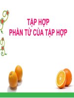 bài giảng toán 6 tập hợp các phần tử của tập hợp