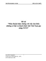 Đề tài “Mâu thuẩn biện chứng với việc tìm hiểu những cơ hội và thách thức khi Việt Nam gia nhập WTO” pps