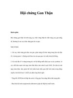 Hội chứng Gan Thận potx