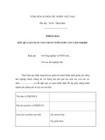 MẪU THÔNG BÁO KẾT QUẢ SẢN XUẤT CÂY CON Ở VƯỜN ƯƠM CÂY LÂM NGHIỆP pdf