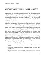 Giáo trình -công nghệ di truyền - chương 5 docx