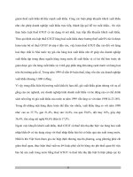 Bản chất thuế VAT và VAT ở Việt Nam - 5 ppsx