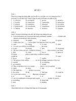 ĐỀ THI MÔN TIẾNG ANH - ĐỀ SỐ 1 potx