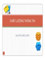 Bài giảng Chất lượng thông tin  Nguyễn Bích Liên