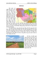 Lịch sử kiến trúc một số chùa Hà Tây docx