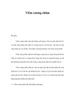 Viêm xương chũm ppt