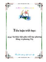 Tiểu luận triết học: Sự khác biệt giữa triết học phương Đông và phương Tây potx