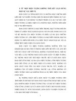 Tiểu luận triết học: Sự thống nhất giữa bản chất và hiện tượng pps