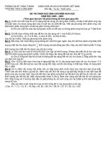 Đề thi học sinh giỏi trường môn hóa học lớp 9 trường Long Thành năm 2009 - 2010 docx