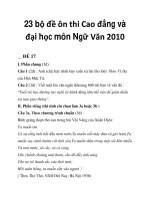 23 bộ đề ôn thi Cao đẳng và đại học môn Ngữ Văn 2010_3 ppt