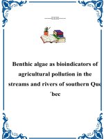 Benthic algae as bioindicators of agricultural pollution in the streams and rivers of southern Que´bec docx