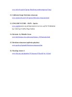 Luận văn : KHẢO SÁT KHẢ NĂNG SỬ DỤNG NGUỒN CƠ CHẤT QUEN THUỘC (MẠT CƯA, BÃ MÍA, RƠM) ĐỂ TRỒNG NẤM HẦU THỦ HERICIUM ERINACEUM (BULL.:FR.) PERS part 7 pot