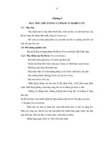 Luận văn : Nghiên cứu đặc điểm sinh học của côn trùng thuộc Bộ Cánh cứng hại lá keo và những phương pháp phòng trừ chúng tại huyện Phú Lương tỉnh Thái Nguyên part 2 ppsx