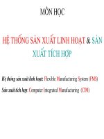 Hệ thống sản xuất linh hoạt và sản xuất tích hợp ppsx