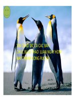 Thuyết trình thị trường chứng khoán việt nam (2014)