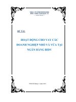 Hoạt động cho vay các doanh nghiệp nhỏ và vừa tại ngân hàng BIDV