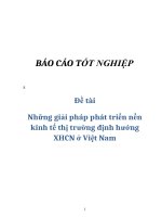 Đề tài: Những giải pháp phát triển nền kinh tế thị trường định hướng XHCN ở Việt Nam pot
