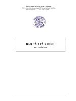 công ty cổ phần xi măng thái bình báo cáo tài chính quý 2 năm 2011