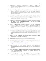 Luận văn : Sử dụng kỹ thuật multiplex – PCR để phát hiện đồng thời các gen độc: stx1, stx2, eae, ehxA, và uid của E. coli part 5 doc